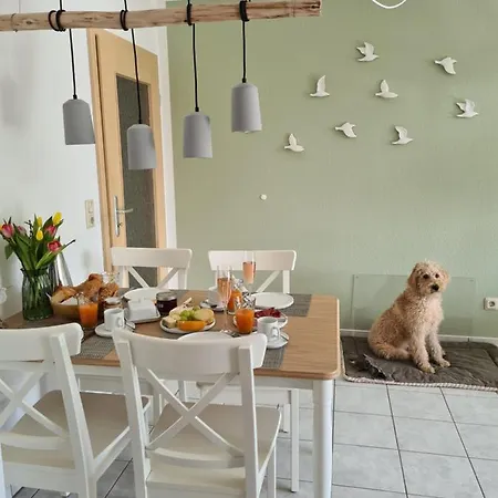 شقة Watt Will Man